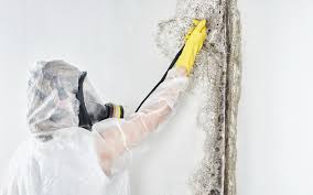 Best Comprehensive Air Testing for Mold Contaminants in Winnsboro Mills, SC